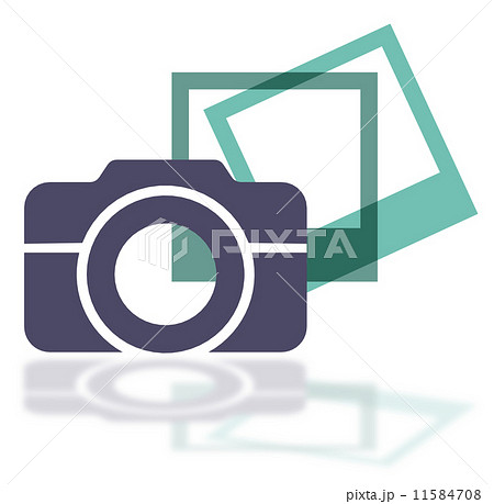 the photography the photography 11584708