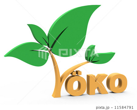 eco eco 11584791