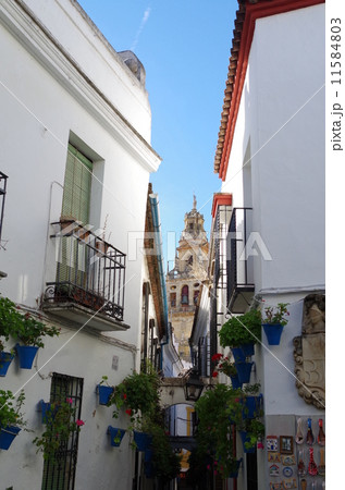 コルドバ ユダヤ人街 コルドバ ユダヤ人街 11584803