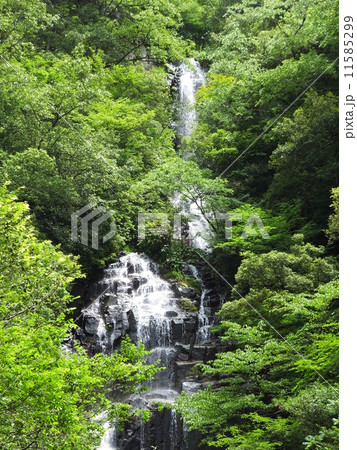 常清滝(広島県) 常清滝(広島県) 11585299