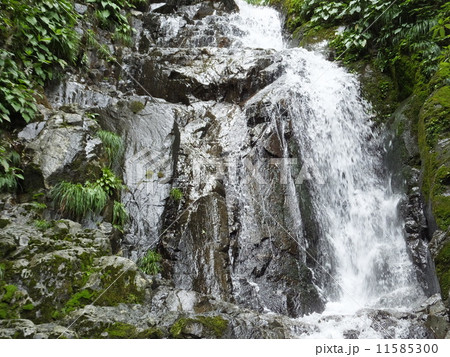 常清滝(広島県) 常清滝(広島県) 11585300