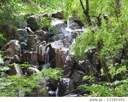 常清滝（広島県） 11585302