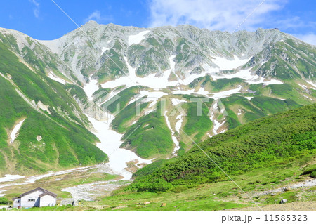 北アルプスの山々と青空 北アルプスの山々と青空 11585323