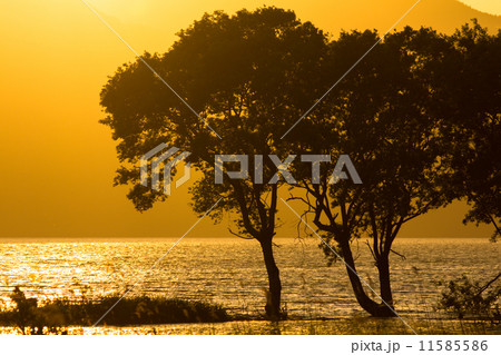 みずどりステーションからの夕日 11585586