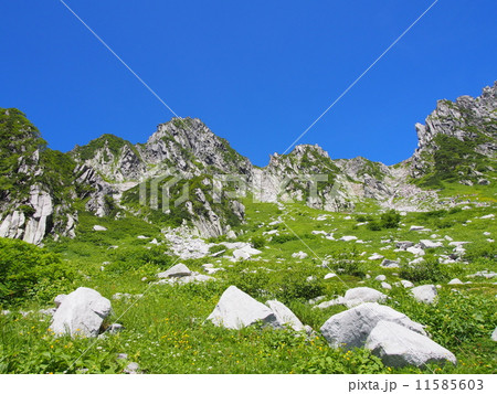 木曽駒ヶ岳　千畳敷カール 11585603