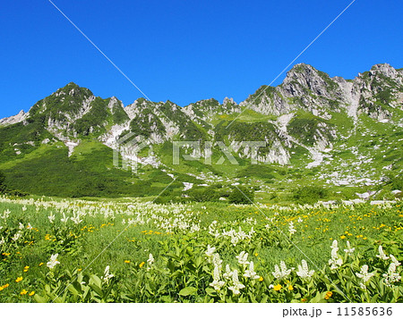 木曽駒ヶ岳　千畳敷カール 11585636