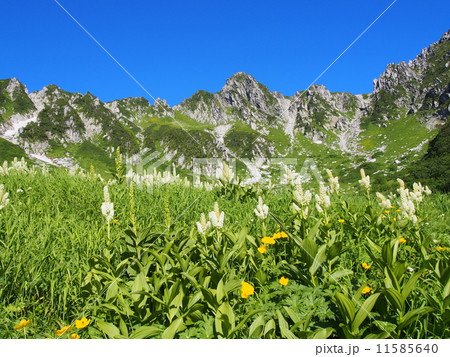 木曽駒ヶ岳 千畳敷カール 木曽駒ヶ岳 千畳敷カール 11585640