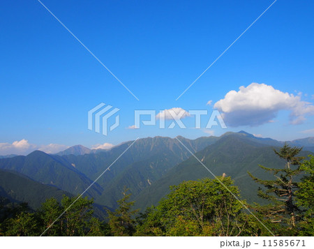 南信州　しらびそ高原 11585671