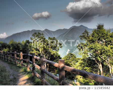 南信州　しらびそ高原 11585682