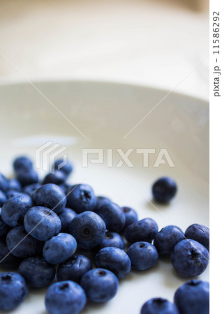 ブルーベリー3 11586292