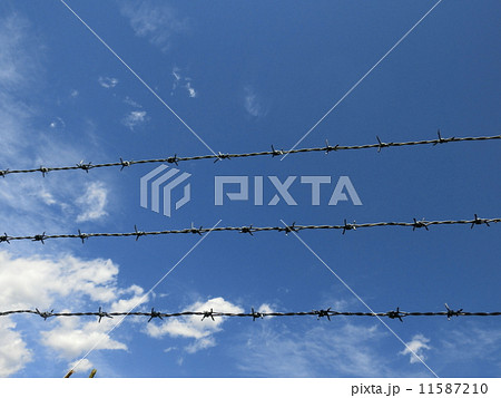 鉄条網 ワイヤー 鉄条網 ワイヤー 11587210