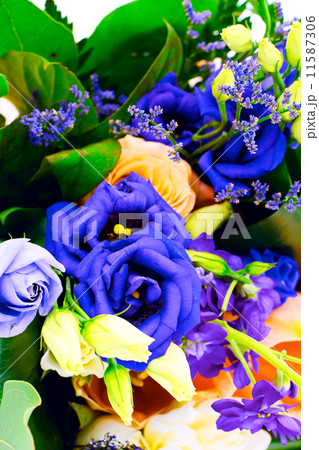 Colorful Flowers Bouquet Isolated on White Background 11587306