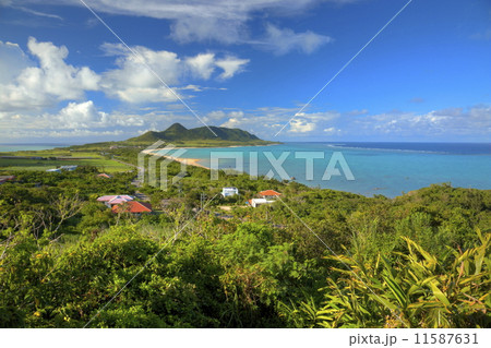 玉取崎展望台からの景色 玉取崎展望台からの景色 11587631