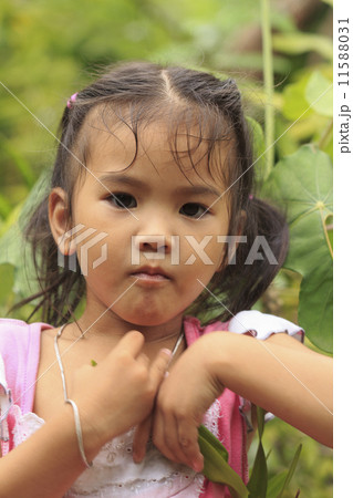 Cute little girl Cute little girl 11588031
