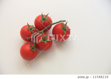 トマトの画像 トマトの画像 11588219