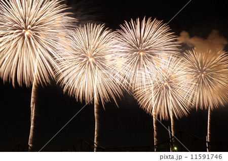 花火と長生橋 11591746