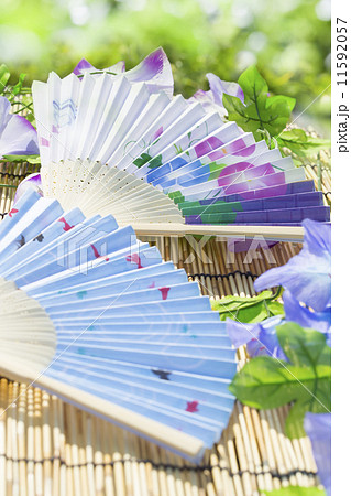 爽やかな夏の風物詩 11592057