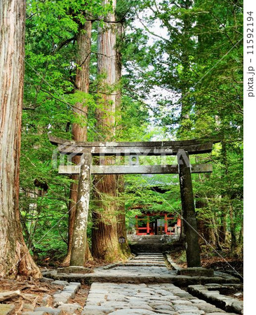 滝尾参道散策行 滝尾参道散策行 11592194