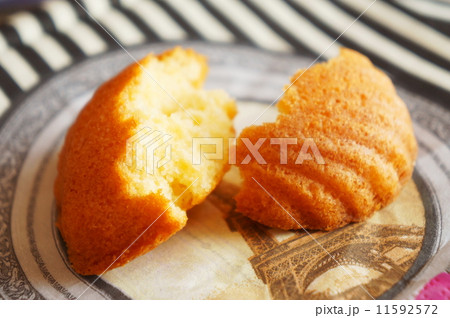 マドレーヌ 11592572