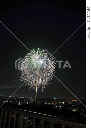 花火 11592694