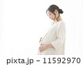 妊婦さん 11592970