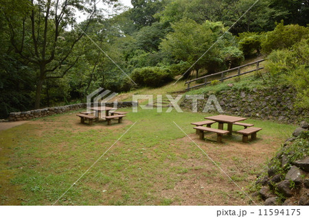 日野市　都立平山城址公園の夏 11594175