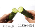 キュウリ 11594434