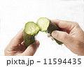 キュウリ 11594435
