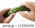 キュウリ 11594436