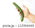 キュウリ 11594440
