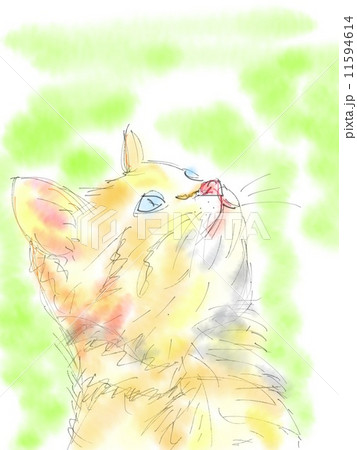 猫のイラスト 猫のイラスト 11594614