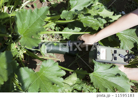 Measuring radiation Measuring radiation 11595183