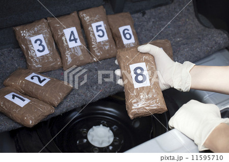 Drug traffiicking 11595710