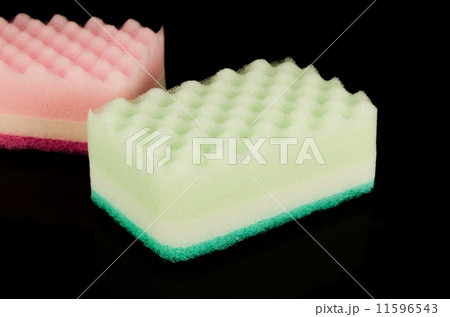 Sponge Sponge 11596543
