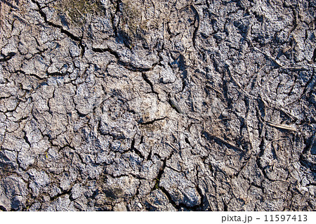 Dried-up mud surface Dried-up mud surface 11597413