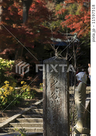 建長寺の紅葉 11597518