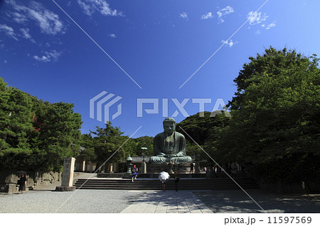 鎌倉大仏の秋 11597569