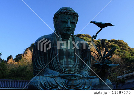 鎌倉大仏の秋 11597579
