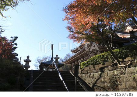 長谷寺の秋 11597588