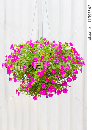 Vase flower Vase flower 11598302