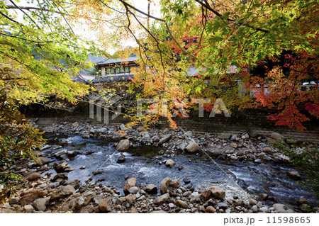 室生寺09 室生寺09 11598665