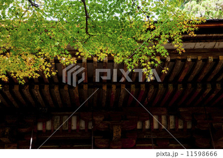 室生寺17 11598666