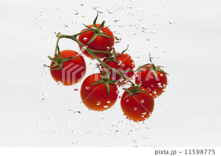 トマト 11598775