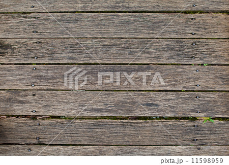 wood background 11598959