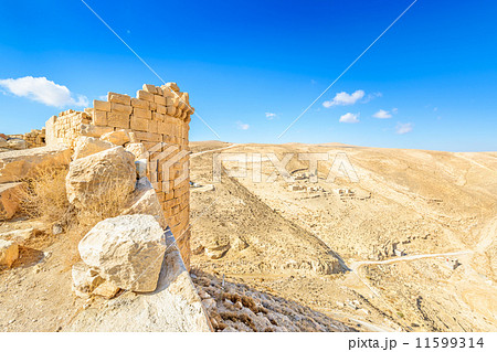 ショーバック城からの眺め(ヨルダン) 11599314