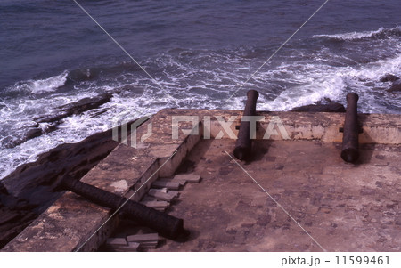 エルミナ城の大砲 11599461