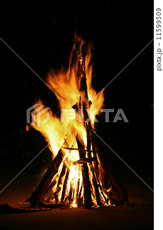Flames of a campfire in the night 11599509