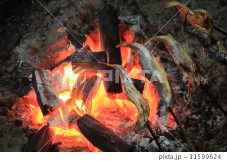 炭火焼き 11599624