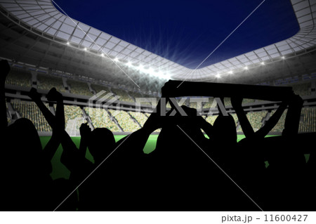 Silhouettes of football supporters 11600427