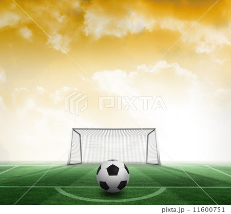Composite image of black and white football 11600751